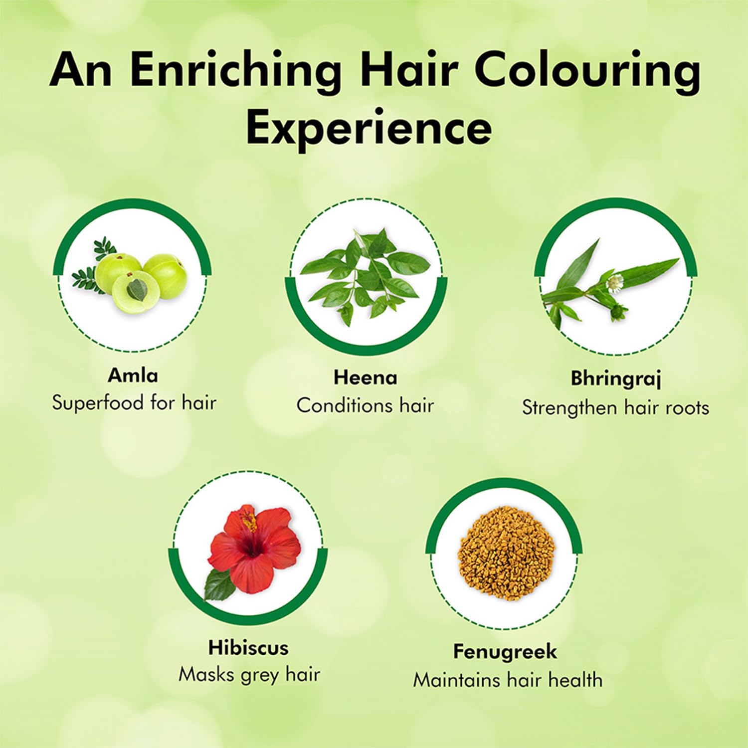Indica 10-Minute Hair Color Shampoo | Free | Ammonia-Free with 5 Herbal Extracts | Long-Lasting Natural Black | Easy DIY Pack (12.5g+12.5ml) with Gloves