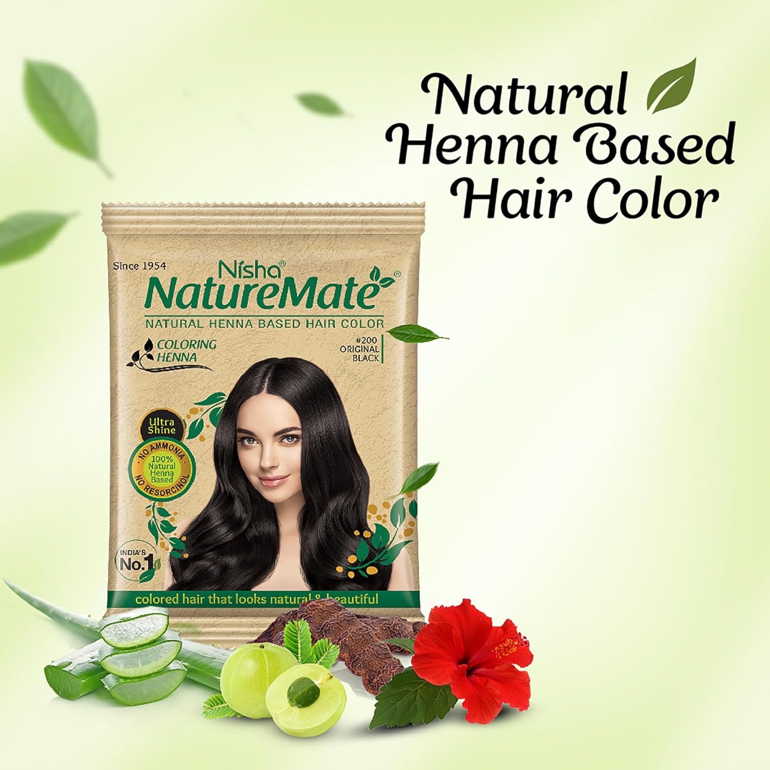 Nisha Nature Mate Henna Based Hair Color Powder Without Ammonia Natural Hair Colour for Women & Men 10gm Pack of 10 (Original Black)