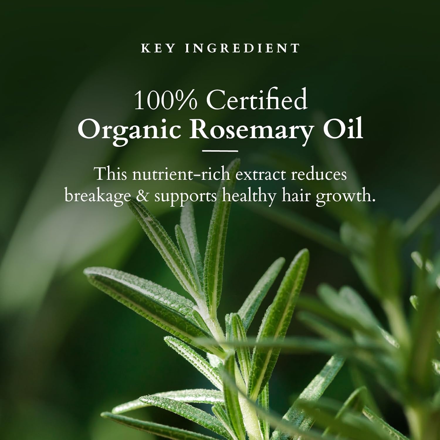 Lotus Organics+ Hair Growth Active Concentrate Serum | 100% Organic Rosemary Oil, AnaGain & Hairdian| 28ml - Dhevu