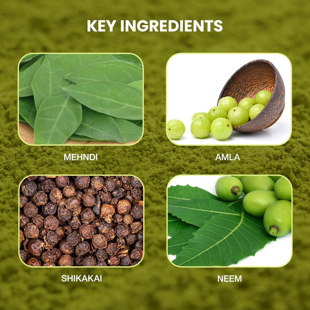 Shahnaz Husain Professional Power Henna | Precious herb Mix | Henna Powder | Amla | Neem | Shikakai | Babul Gond | Mehndi | 100g x 3