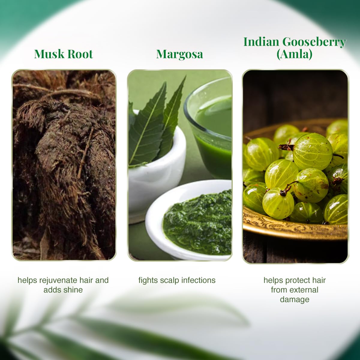 VLCC Natural & Herbal Henna - 120g X 3 (Pack of 3) | Goodness of 10 herbs like Amla, Brahmi, Jatamansi, and Bhringraj | For Stronger, Smoother & Shinier Hair.
