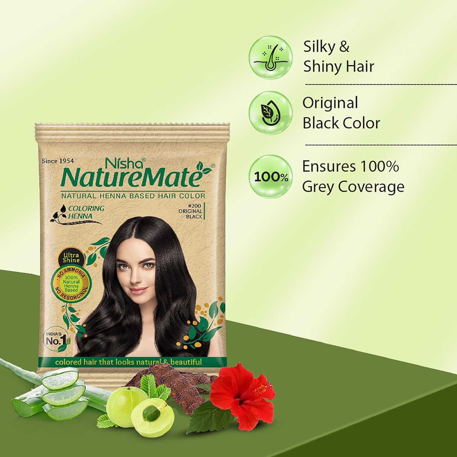 Nisha Nature Mate Henna Based Hair Color Powder Without Ammonia Natural Hair Colour for Women & Men 10gm Pack of 10 (Original Black)