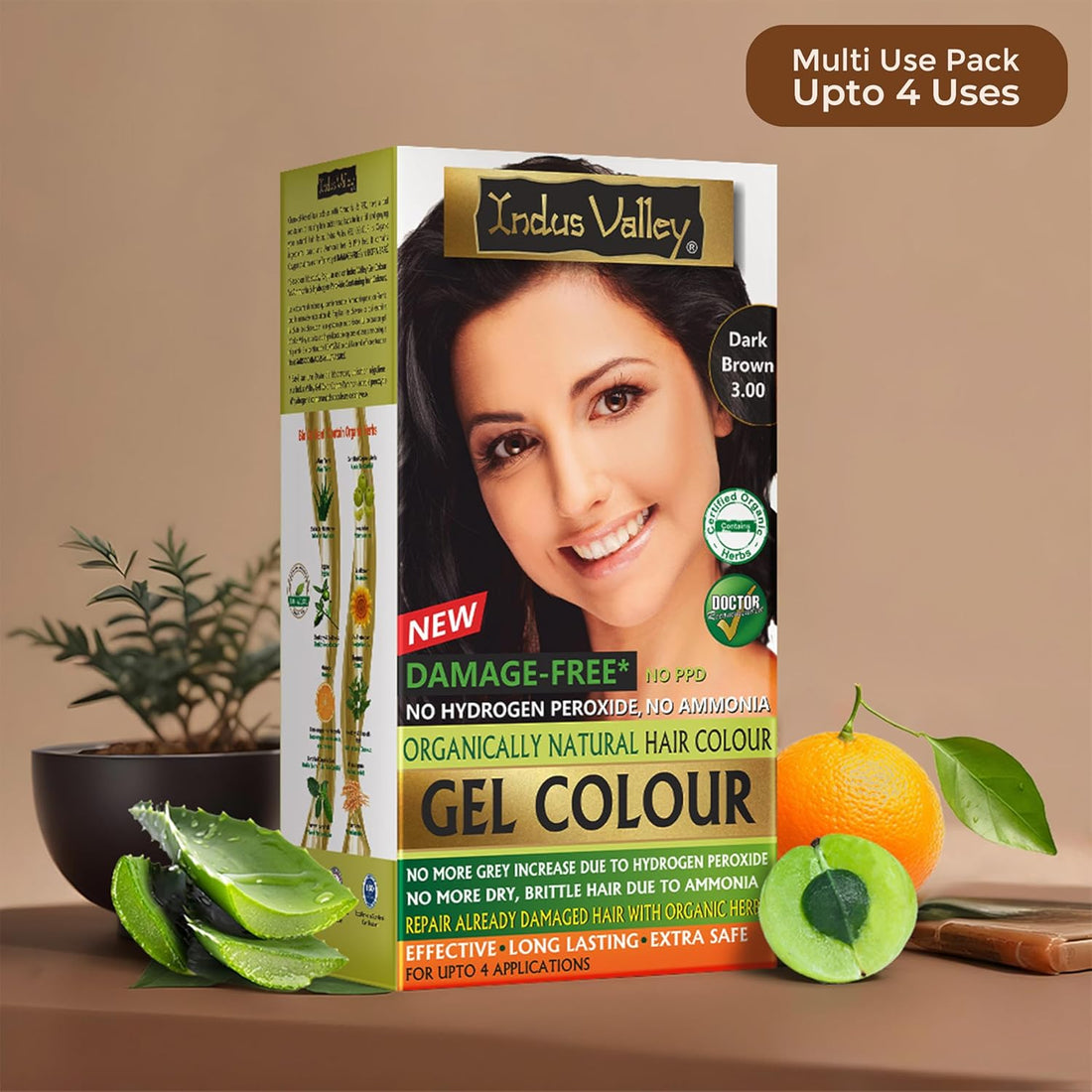INDUS VALLEY Damage Free Natural Gel HairColor for Women|Ammonia & PPD Free Organic HairColor with 100% Grey Coverage, Long Lasting Conditioning Hair Color|Dark Brown 3.00-Pack of 2(2x220 = 440 ml)
