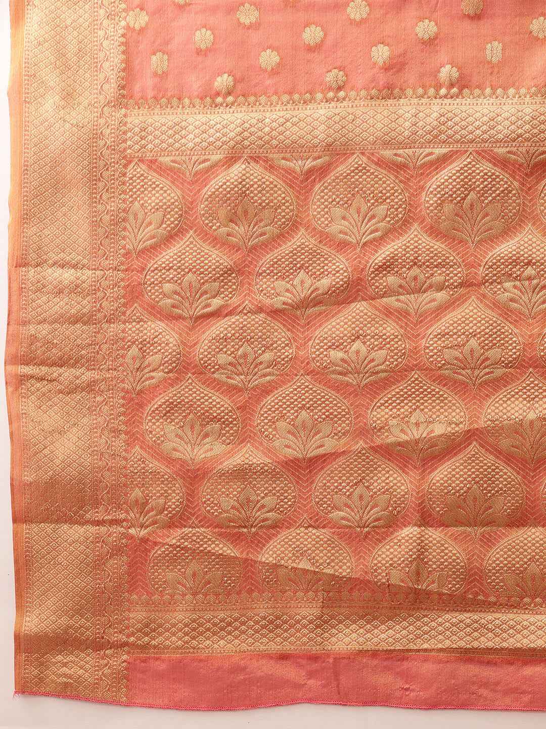 Women's Kanjivaram Tissue Silk Zari Woven Saree